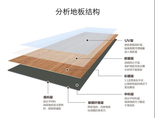 晶典复合地板剖析图(图1)